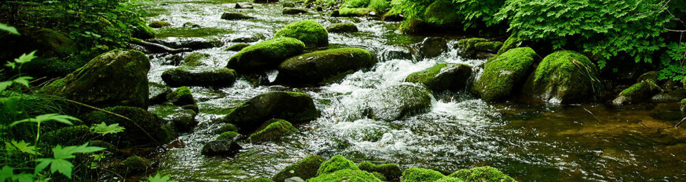 water flowing mossy stream