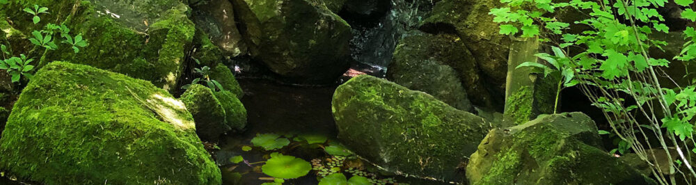 mossy rocks and stream